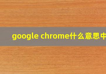 google chrome什么意思中文